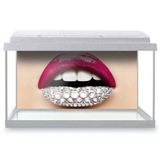 Fish Tank Background 90x45cm -