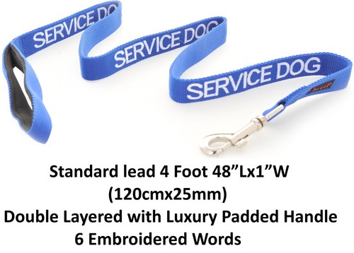 Strong leather staffy staff - strong,