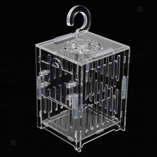Spider tank vivarium cage box - spider,