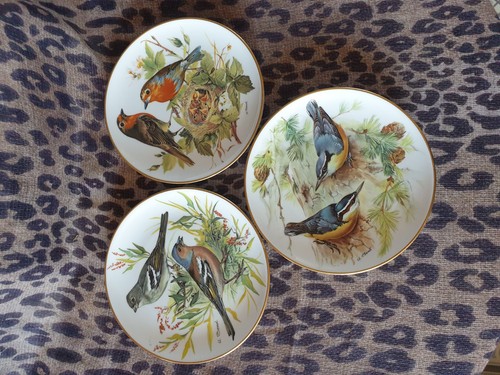 Set wwf bird plates - wwf,