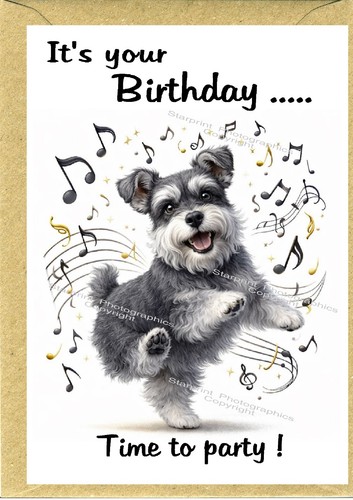 Miniature schnauzer dog - miniature,