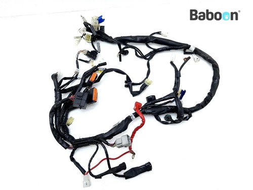 Wiring harness yamaha - (main),