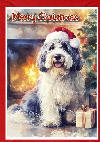 Tibetan terrier dog - terrier, christmas