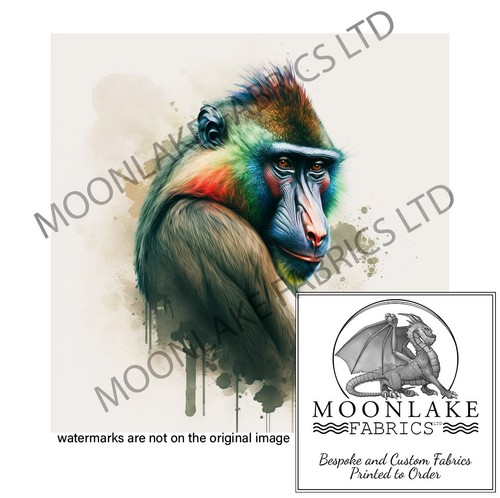 Mandrill portrait righ 100 - mandrill,