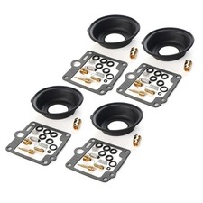 Carburetor Repair Rebuild Kit