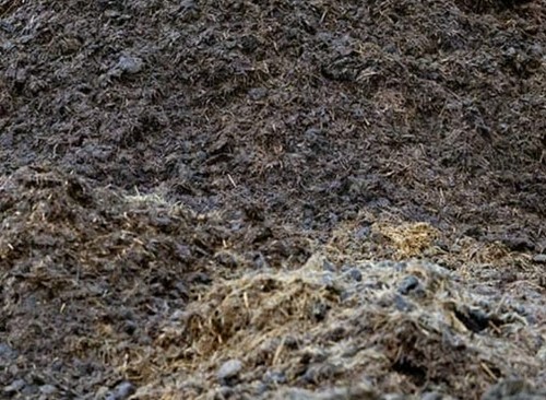 Horse manure 3kg bags - bags,, high