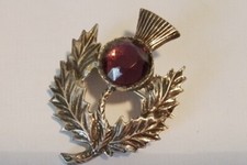 Vintage scottish thistle - vintage,