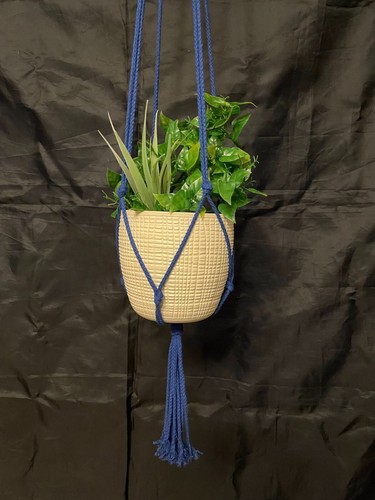 Macrame plant hanger - plant, garden