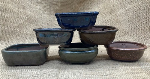 Set bonsai pot aprox size - 6,