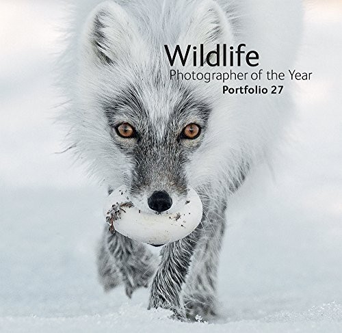 Wildlife photographer the - wildlife,