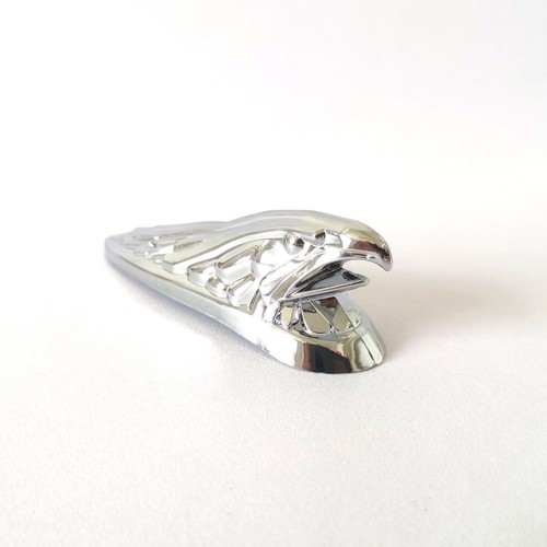 Front fender chrome mudguard - front,