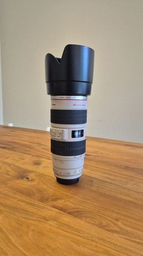 Canon 200mm 8 l usm - 70-200mm,