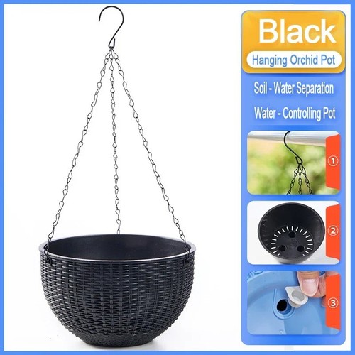 Hanging baskets flower - x,