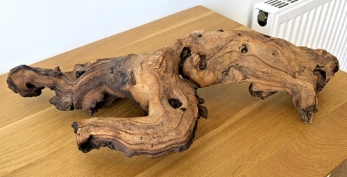 Large bog wood - bog,