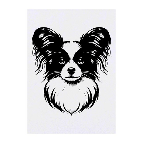 Papillon dog temporary - 'papillon, dog'