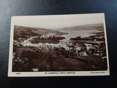 General view dogmaels - general, view,