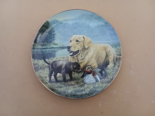 Labrador dog plate franklin - labrador, plate,