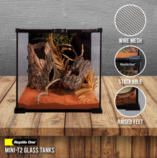 Reptile One Mini T2 Terrarium