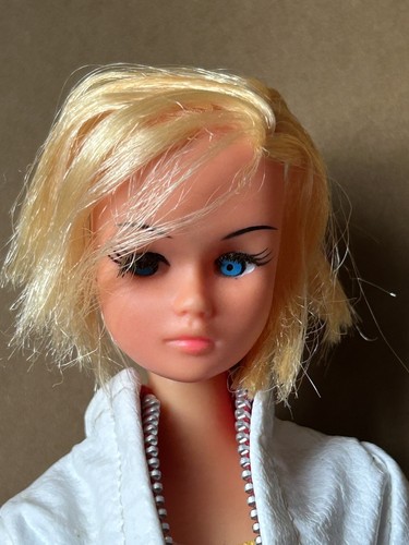 Vintage 1970s barbie - 🩷,