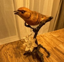 Albany  Royal Worcester Bird