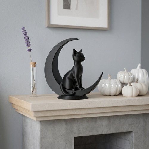 Printed moon cat decoration - moon,