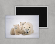 Polar Bear and cubs - Large