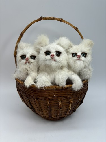 Cats kittens wicker - wicker, basket