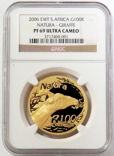 2006 ewt gold south africa - 2006,