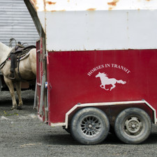 HORSES IN TRANSIT Horsebox