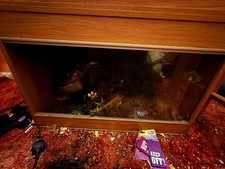 Reptile Vivarium Sliding Glass