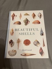 Beautiful Shells -
