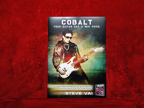 Steve vai ernie ball cobalt - vai,