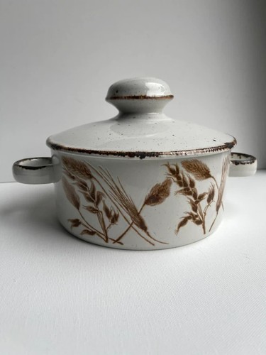 Vintage 1970s casserole veg