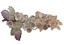 Vintage MCM Clear Lucite Fruit