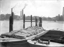 ANTIQUE GLASS NEGATIVE OF