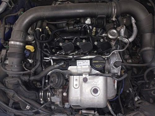 Engine ford focus mk3 - ford, (c346)