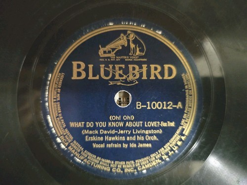 Bluebird 10012 erskine - bluebird,