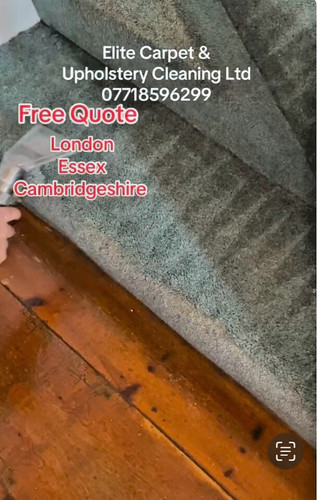 Professional carpet sofa - carpet, &