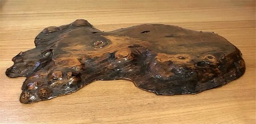 Bonsai table display - bonsai, base