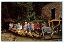 c1960 Historic Bobtail Gold