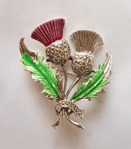 Brooch scottish thistles - ~,