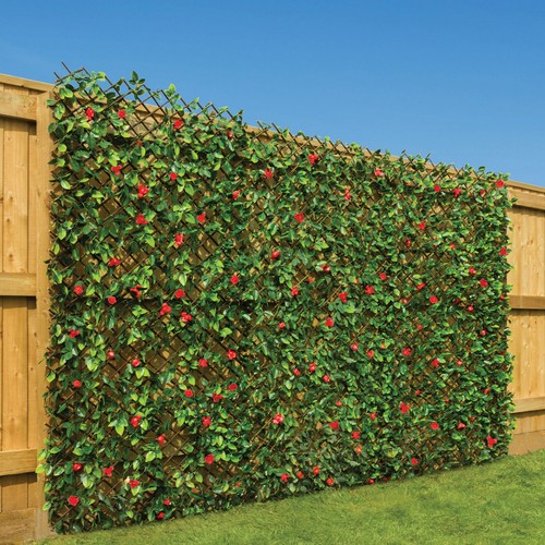 Expanding artificial trellis - artificial,