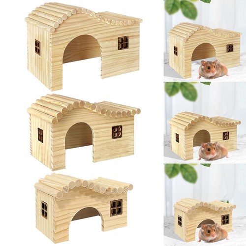 Small pet natural hamster - natural,