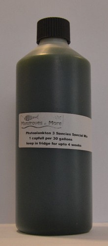 Live marine phytoplankton - live, 3