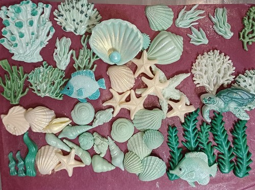 Ocean sea turtle - ocean,