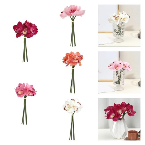 Cymbidium orchid long stem - long,