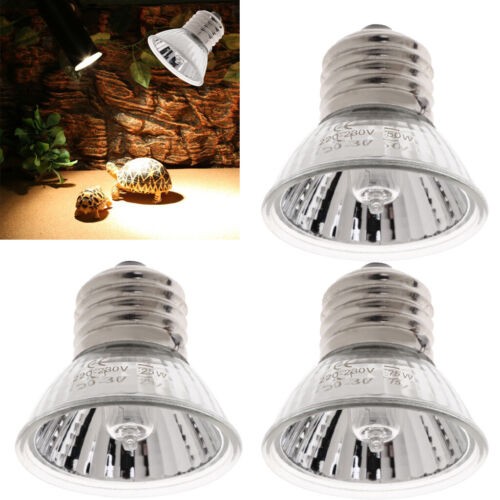 3pcs reptile light bulb - 3pcs,
