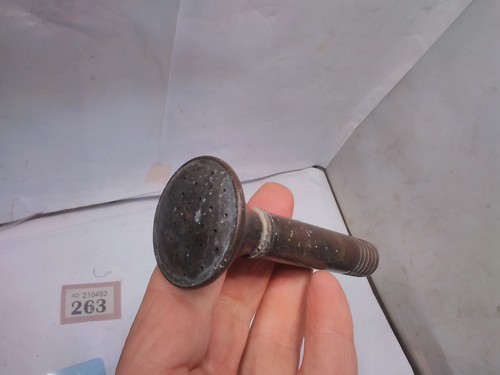 Vintage brass watering - watering, can