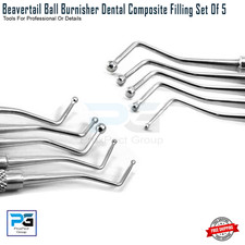 Dental Restorative Ball Burnisher Dentist Filling Instruments Dentistry Set Of 5