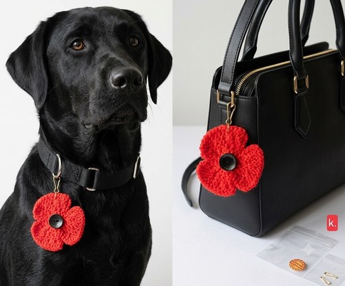 Remembrance poppy red - remembrance, k.